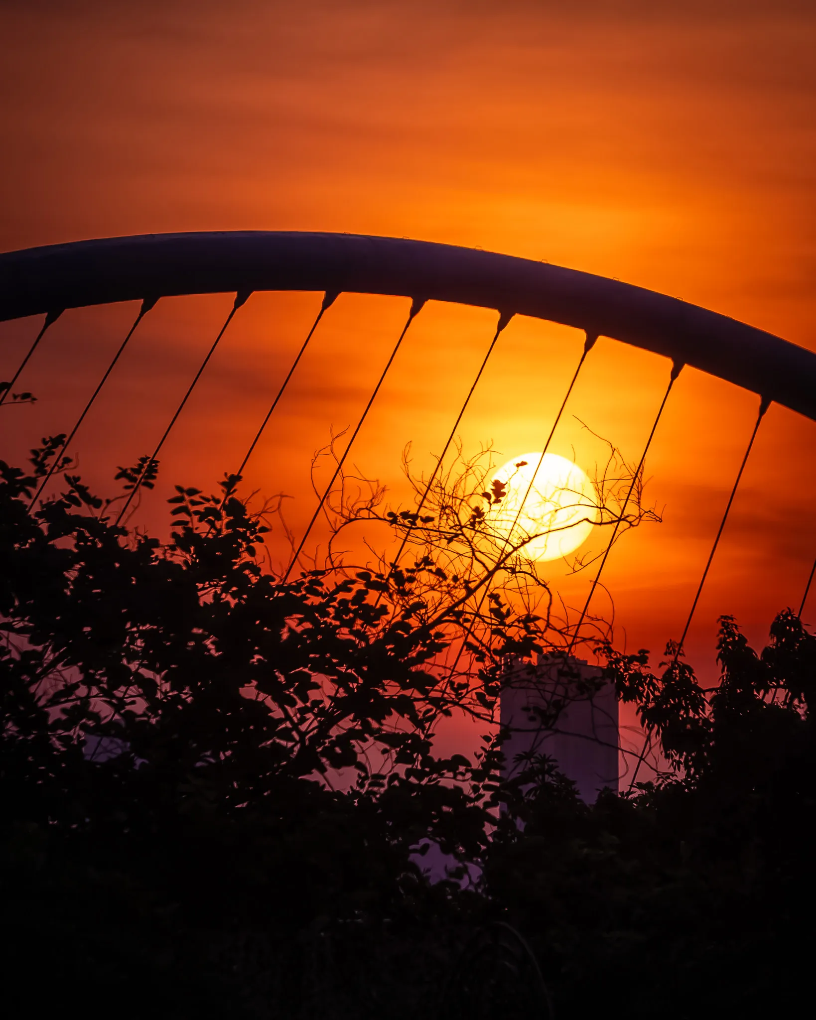 An image from the album: [Guangzhou]