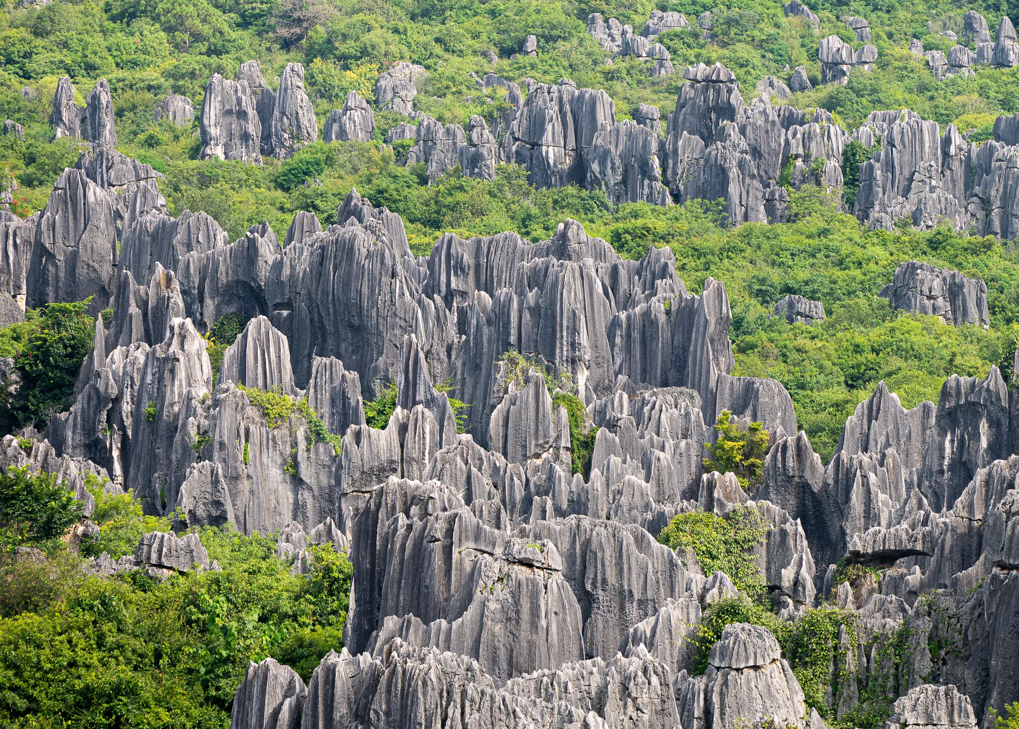 From the album: Yunnan