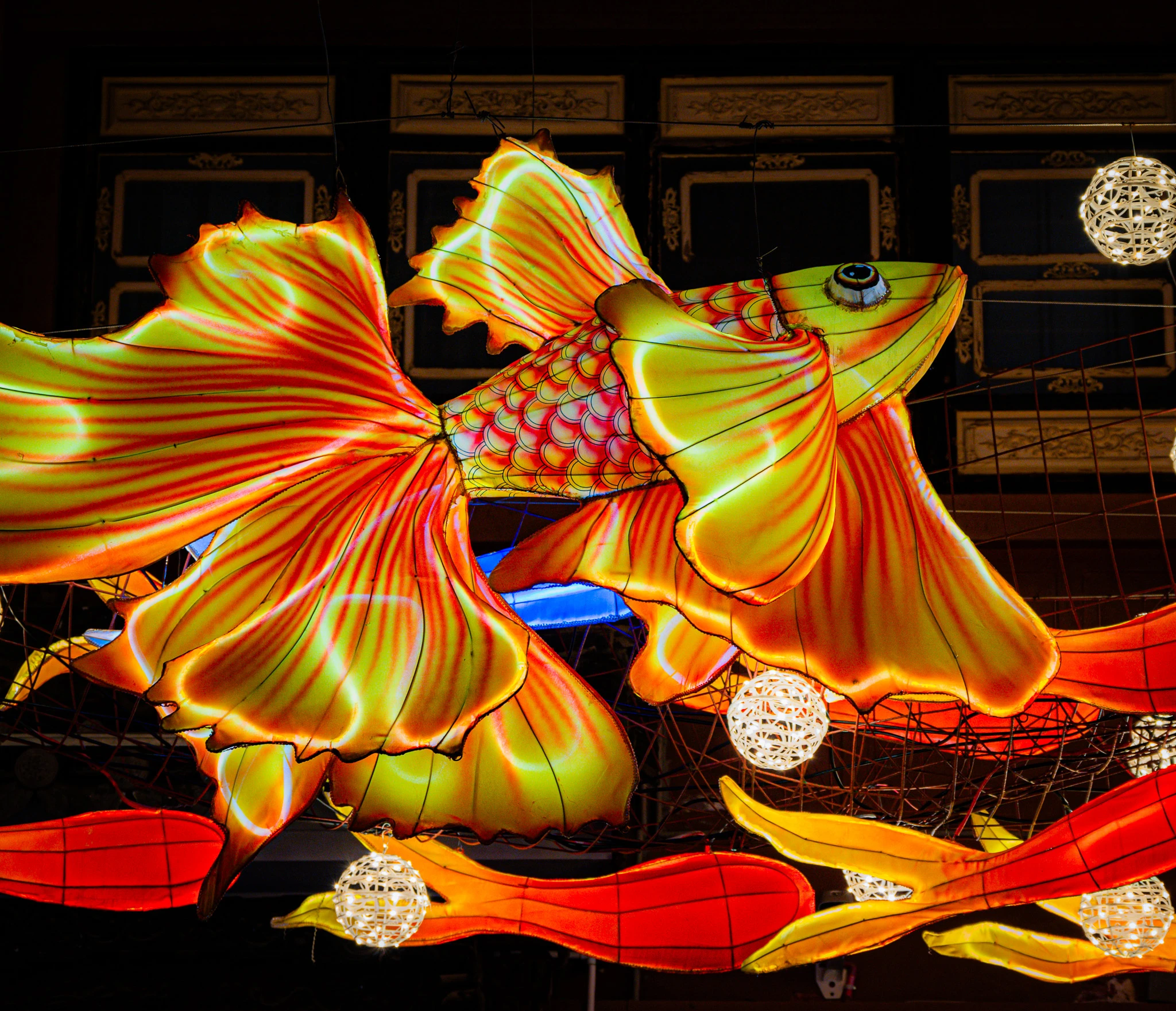 An image from the album: [Yunnan]