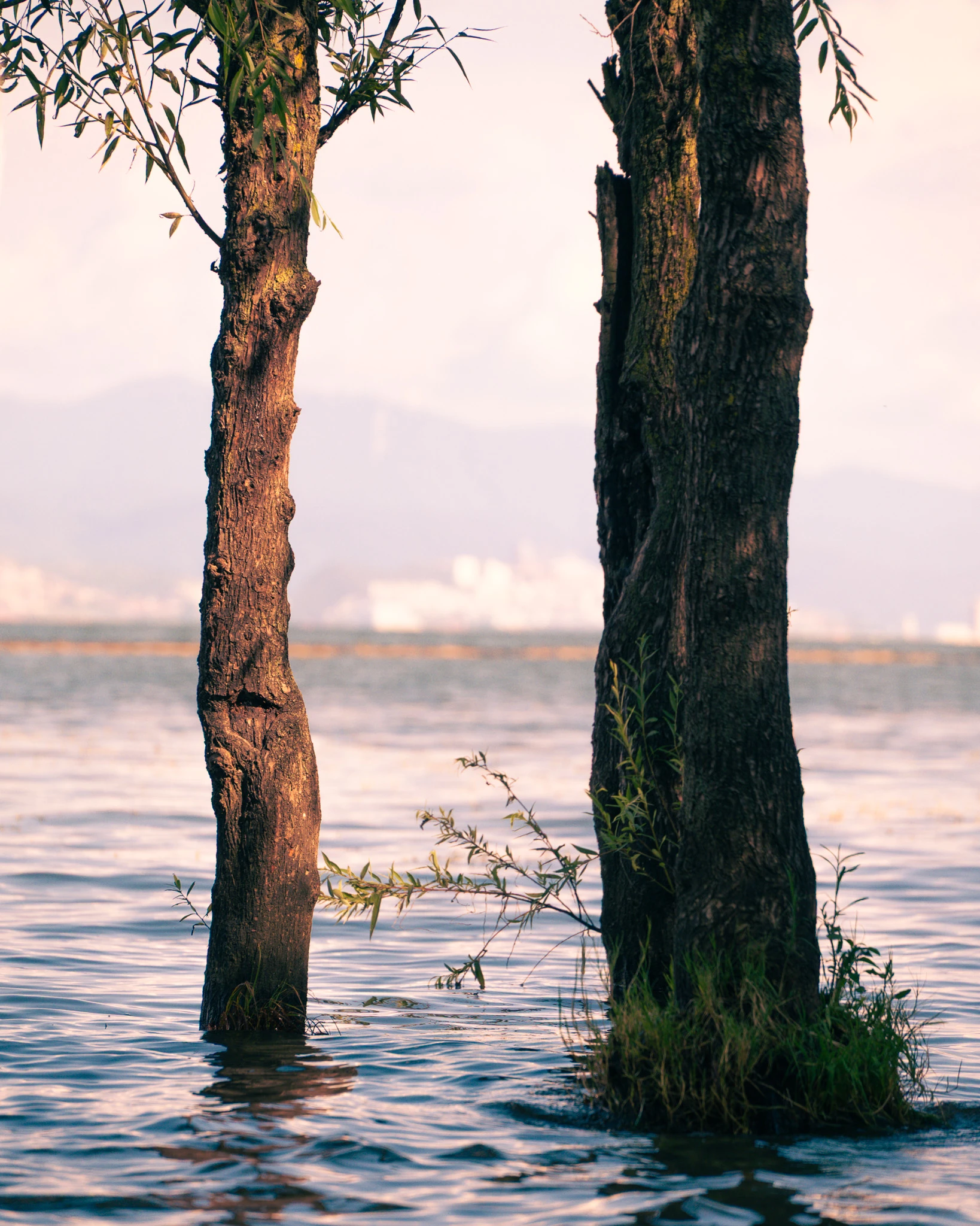 An image from the album: [Yunnan]