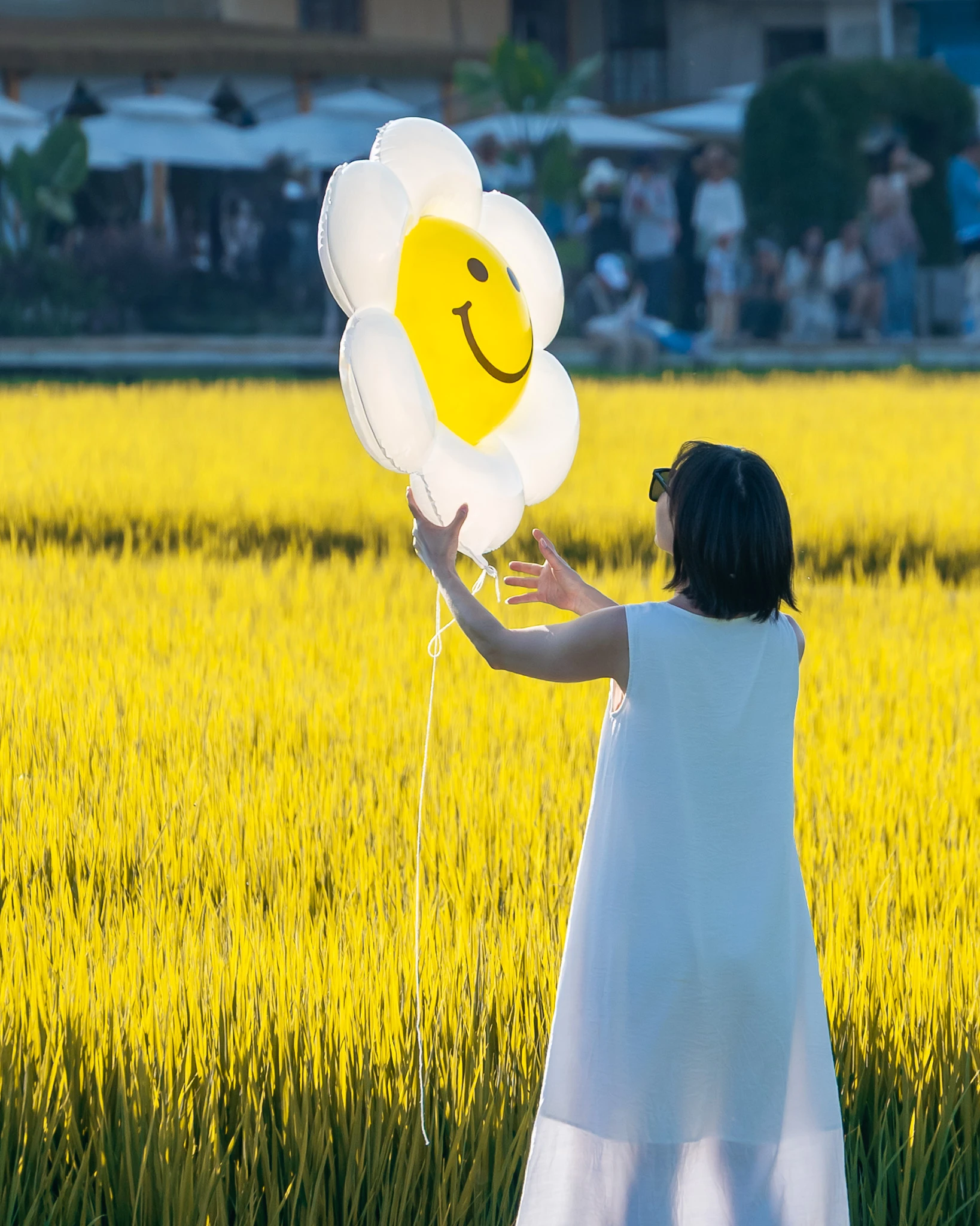 An image from the album: [Yunnan]