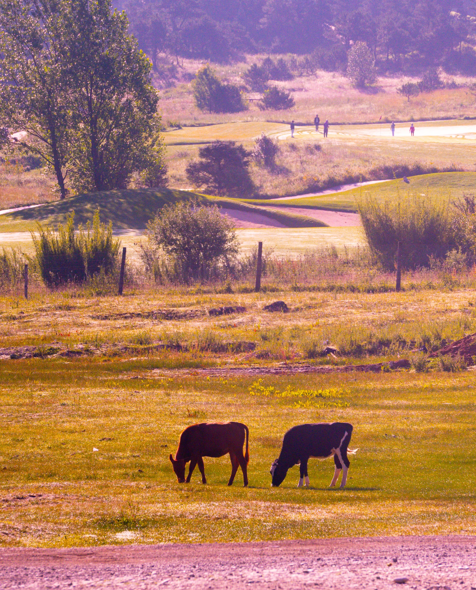 An image from the album: [Yunnan]