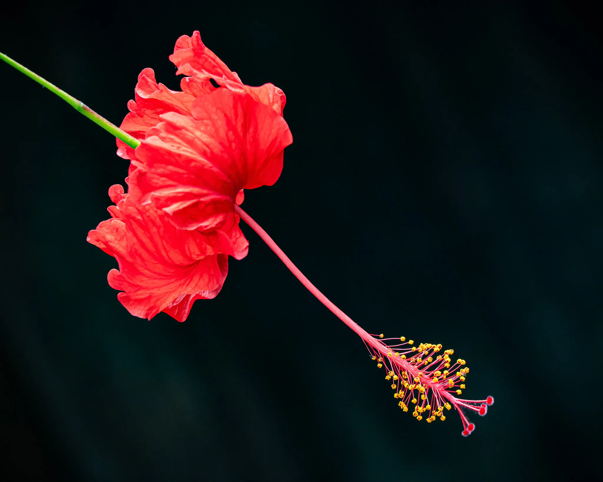 From the album: Yunnan