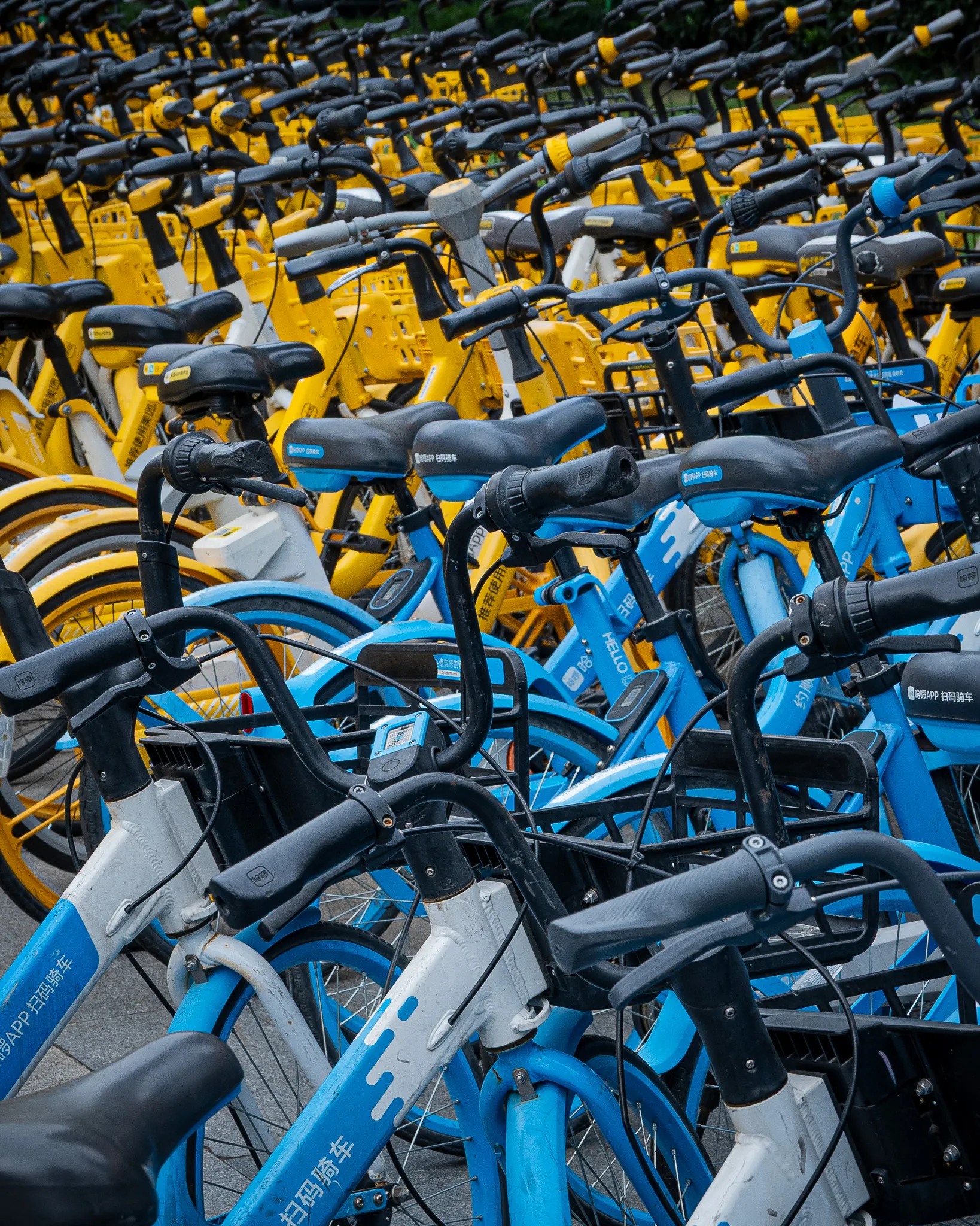 An image from the album: [Shanghai]