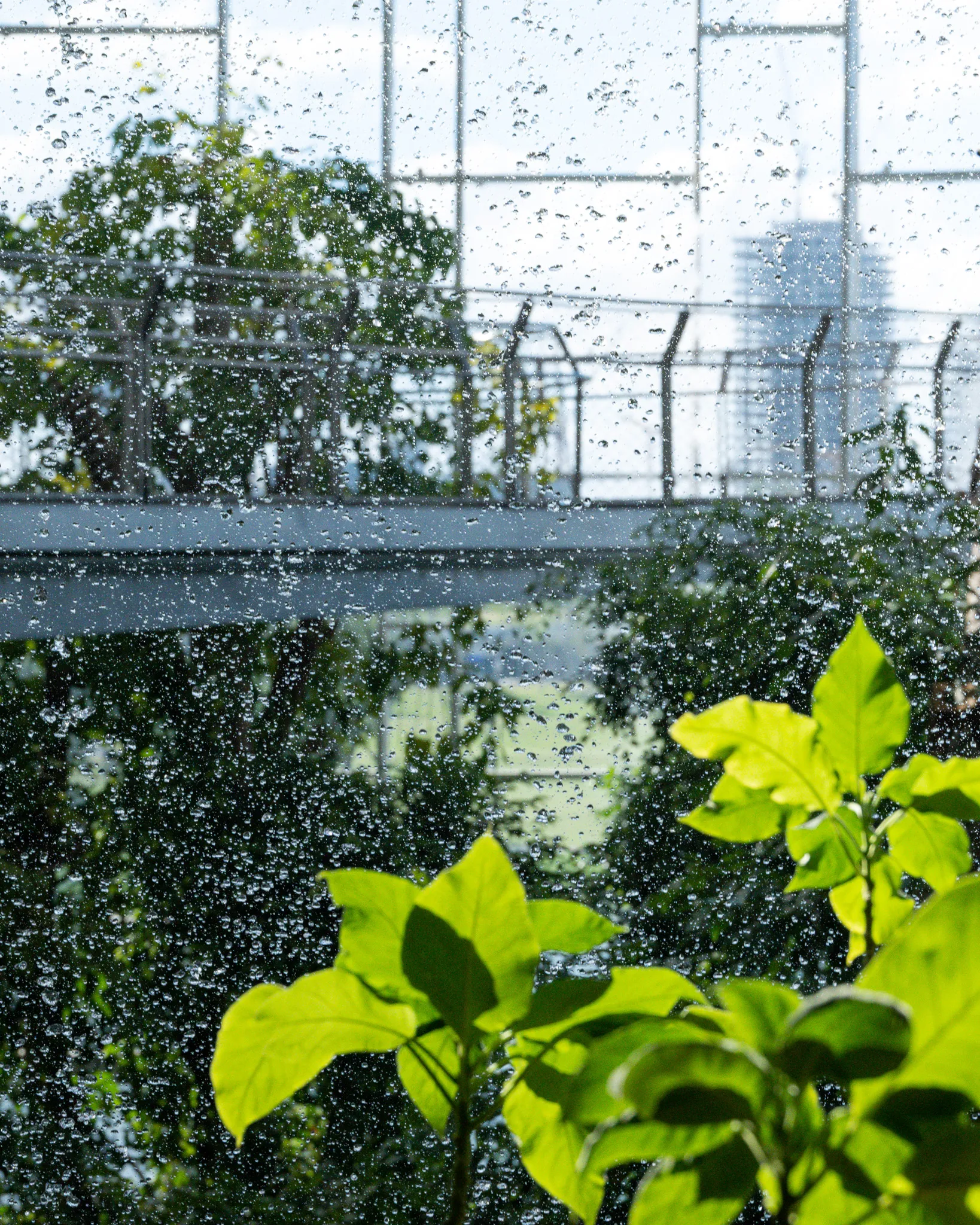 An image from the album: [Shanghai]