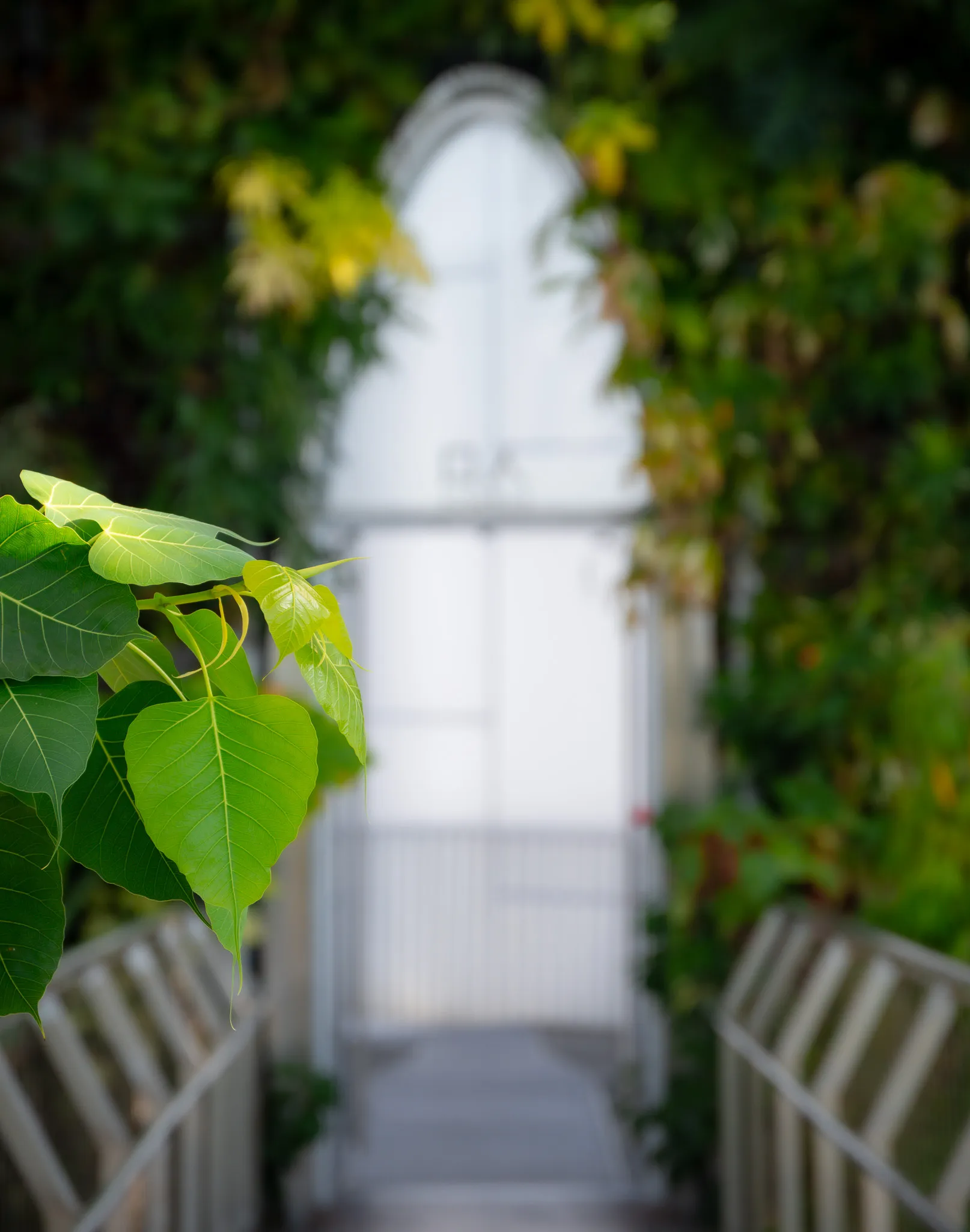 From the album: Shanghai