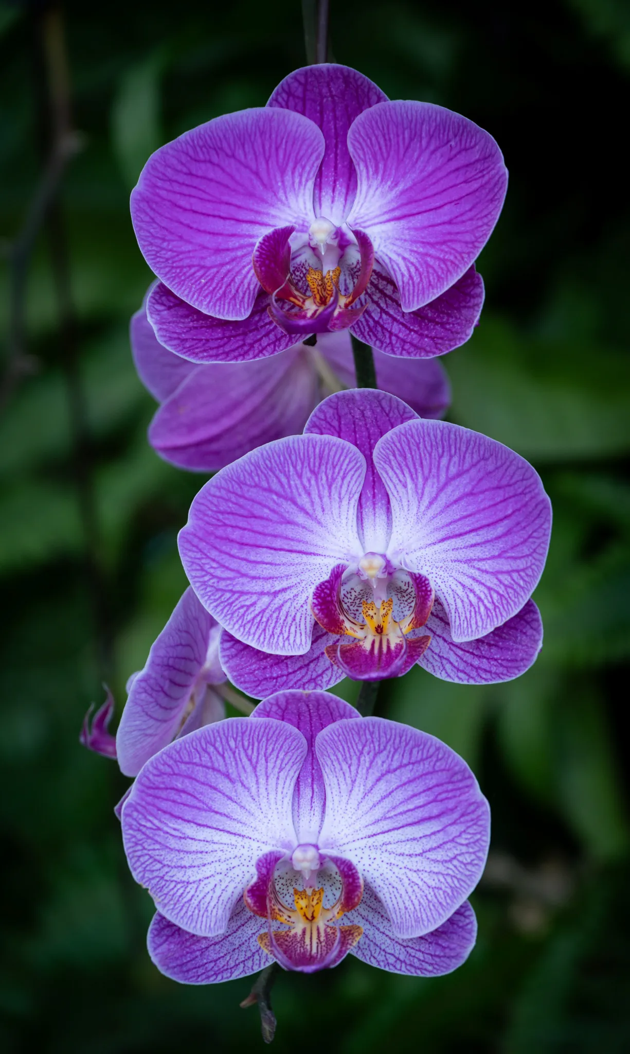 An image from the album: [Shanghai]