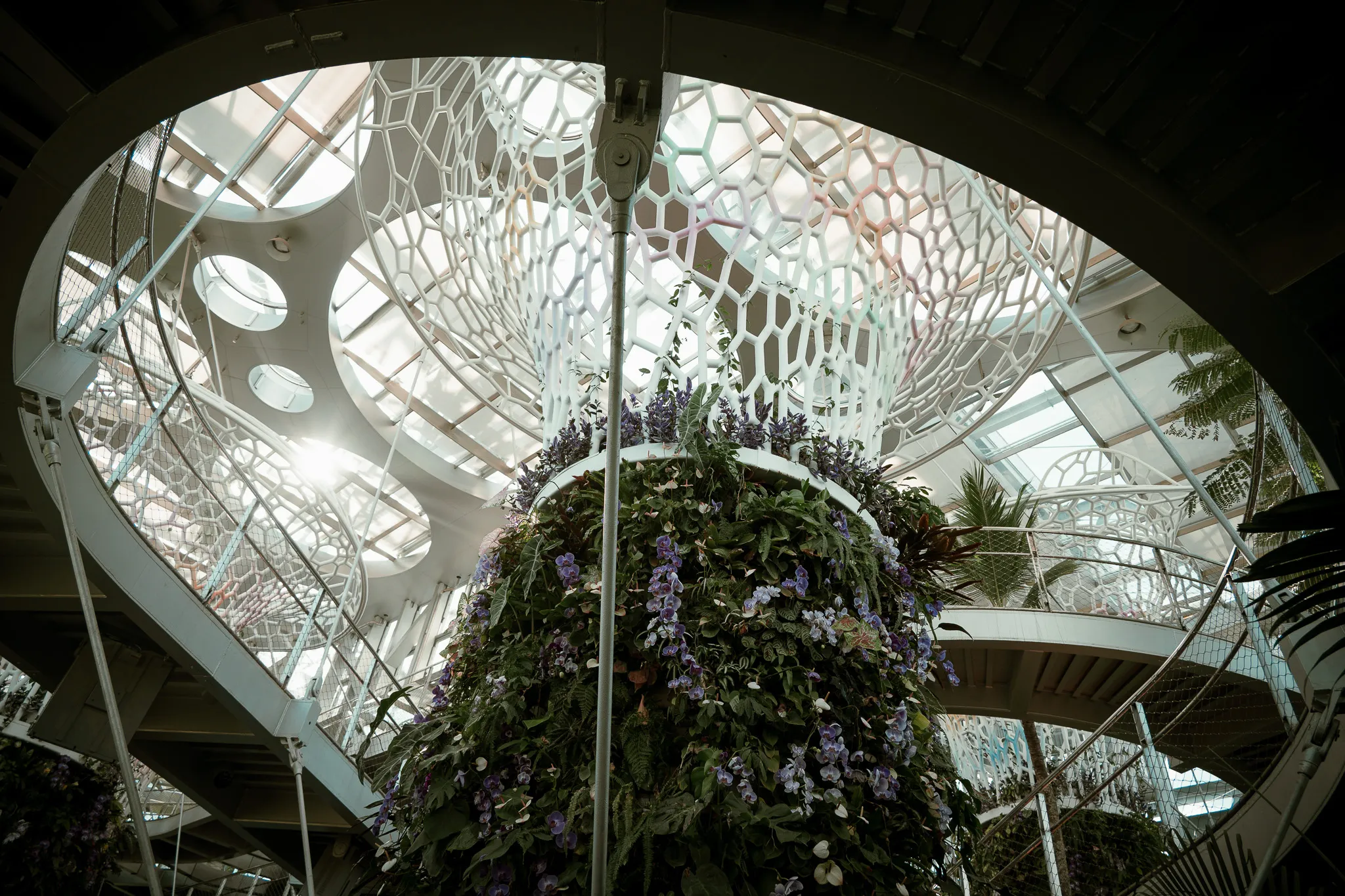 An image from the album: [Shanghai]