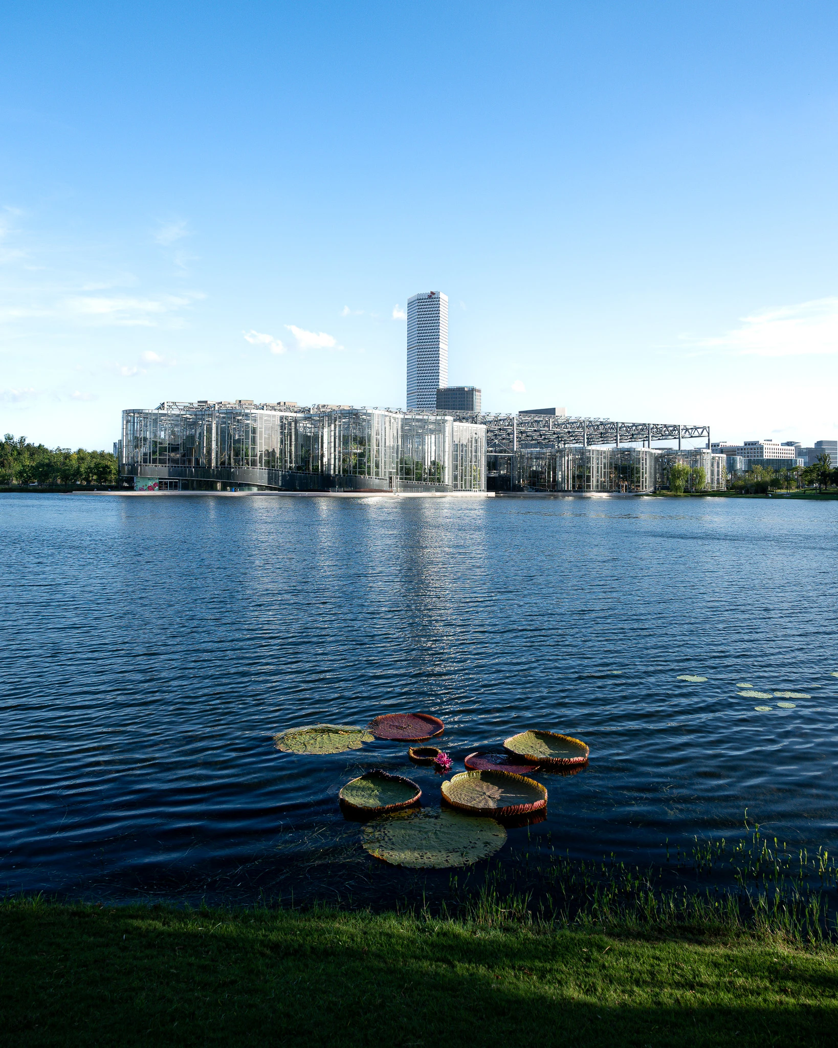 An image from the album: [Shanghai]