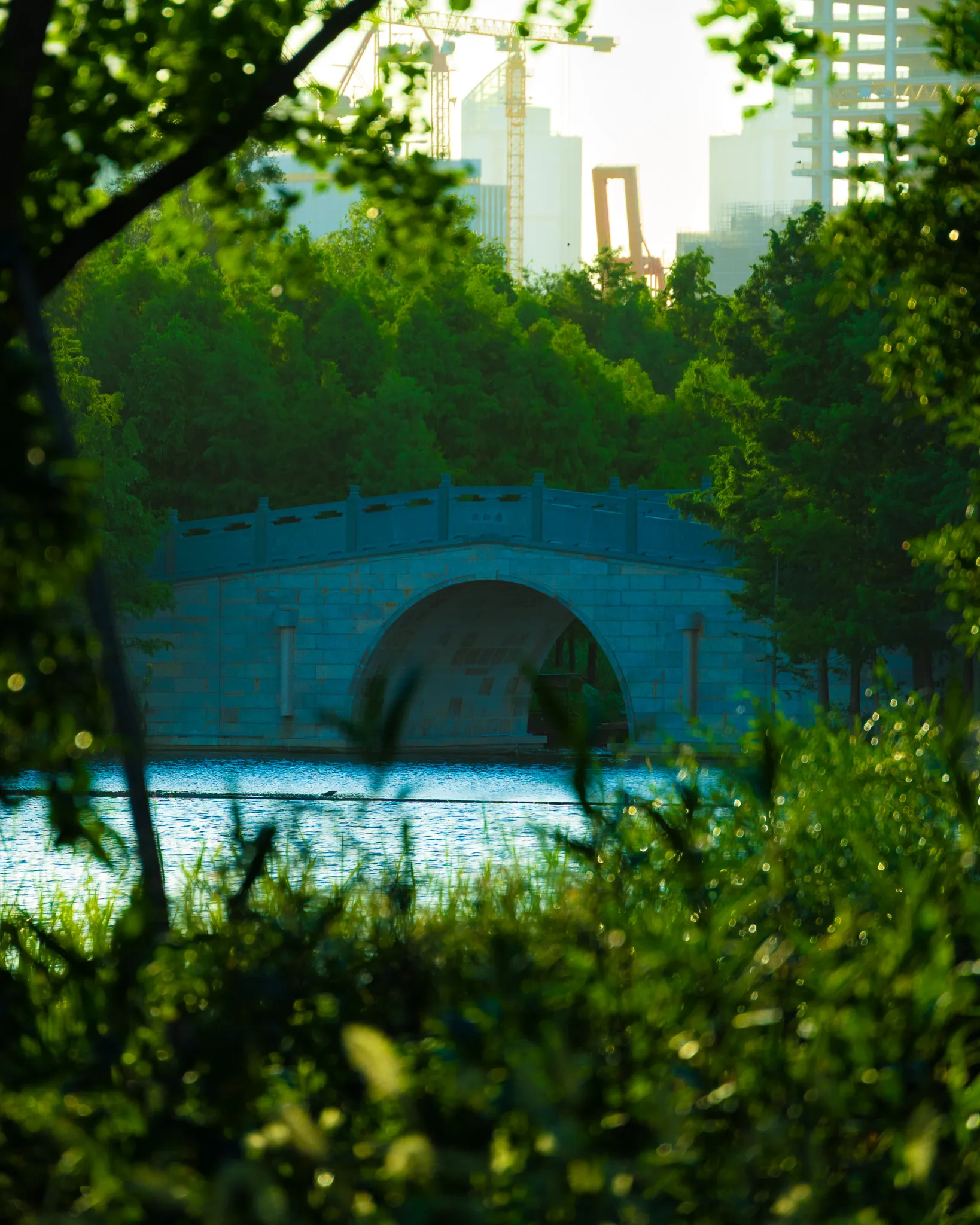 An image from the album: [Shanghai]