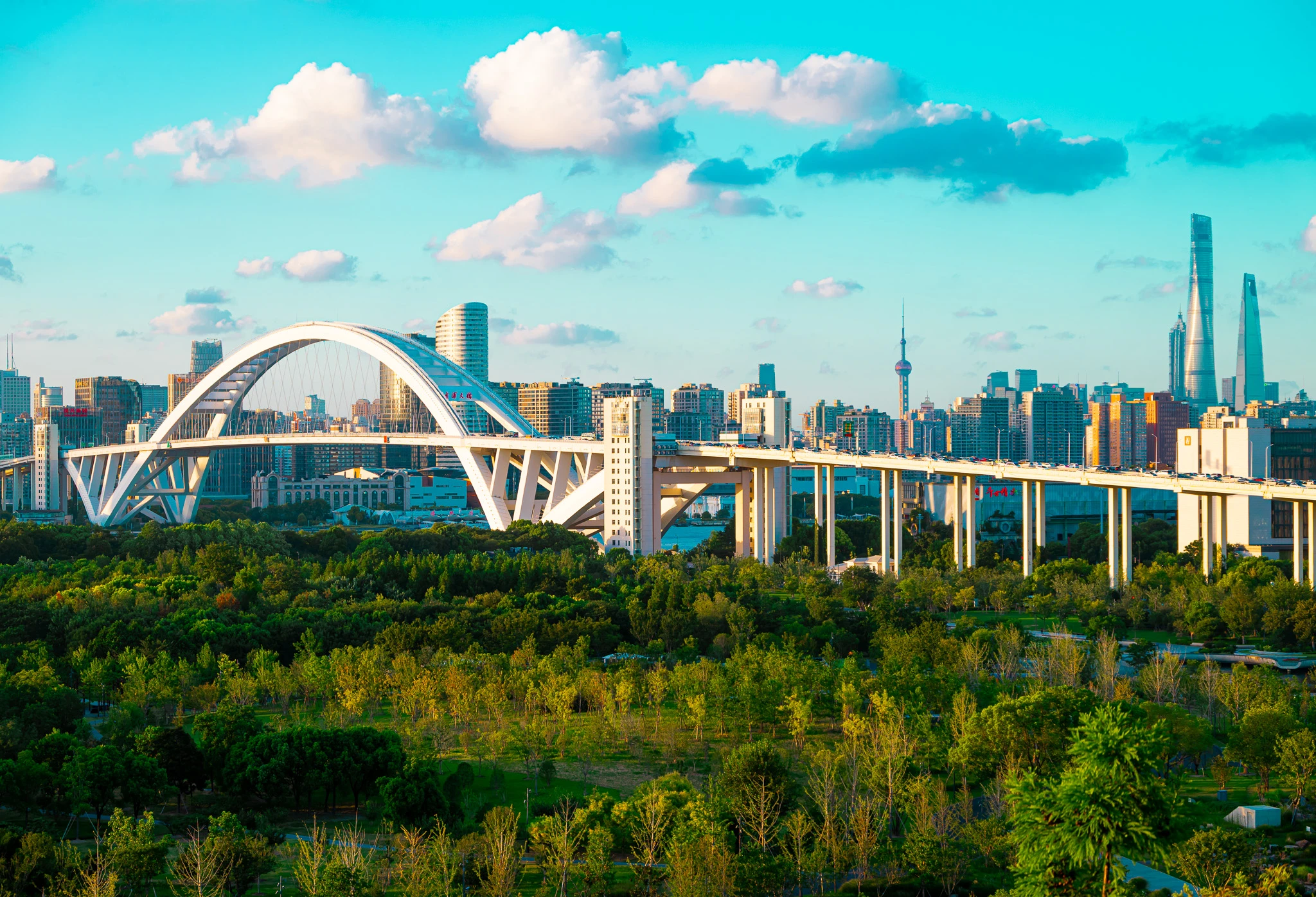 From the album: Shanghai