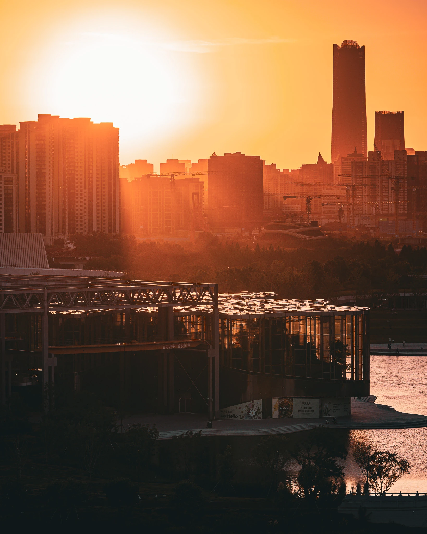 An image from the album: [Shanghai]