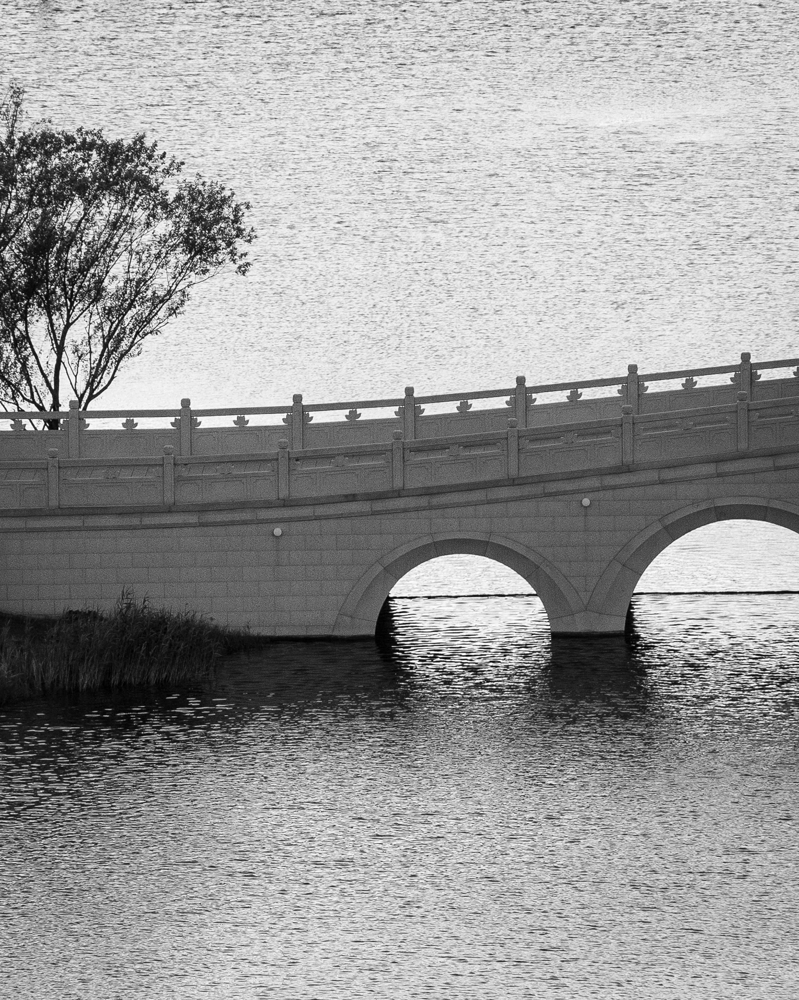 From the album: Shanghai