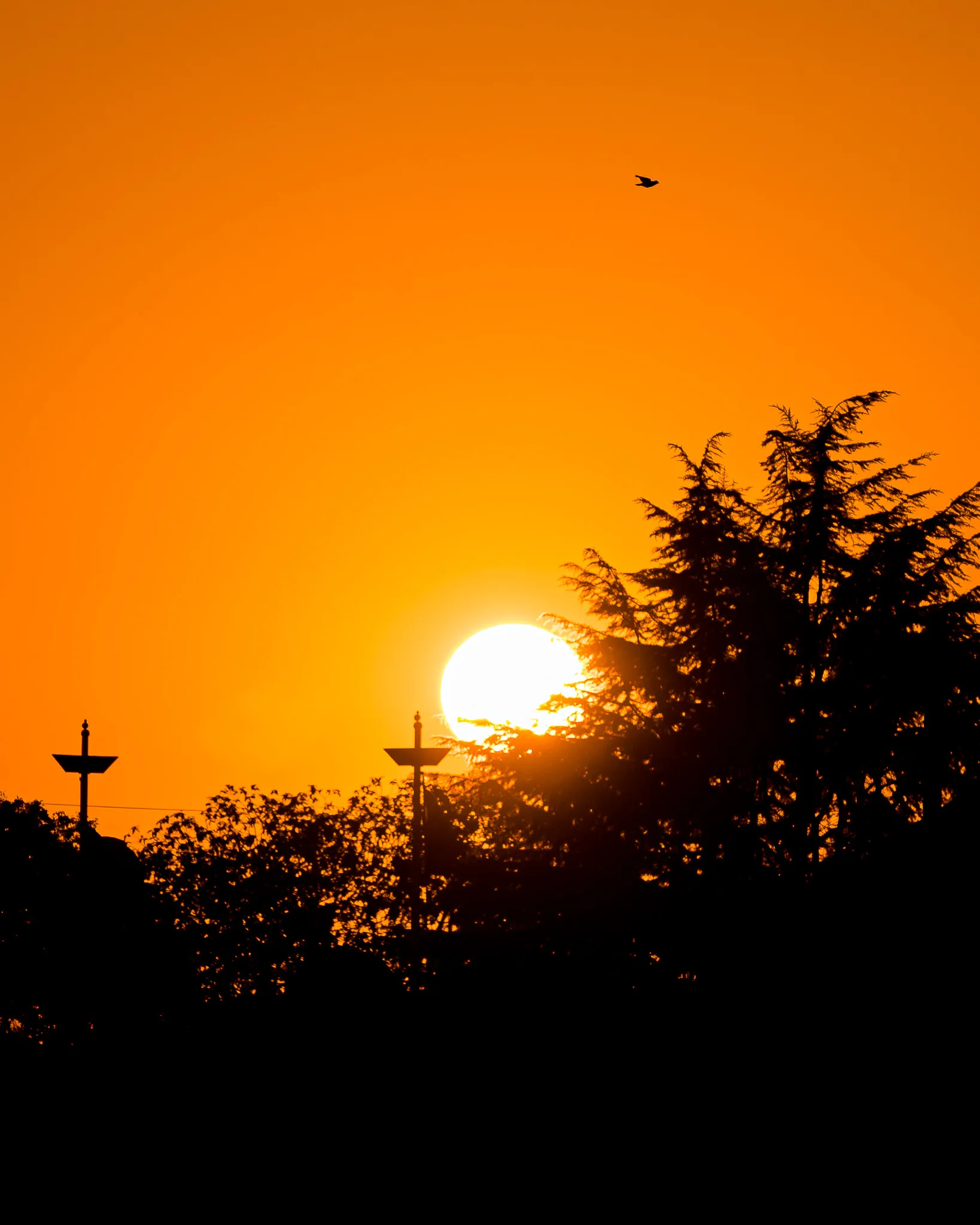 An image from the album: [Huzhou]