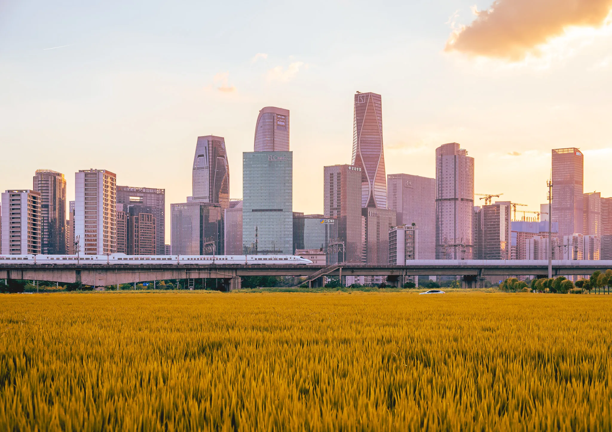 An image from the album: [Hangzhou]