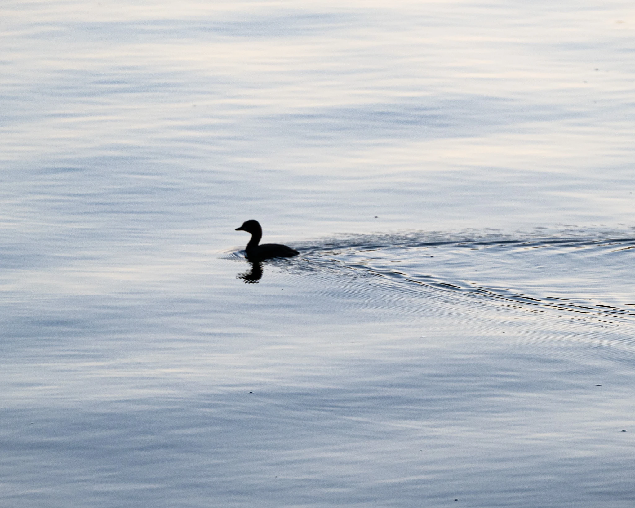 An image from the album: [Hangzhou]