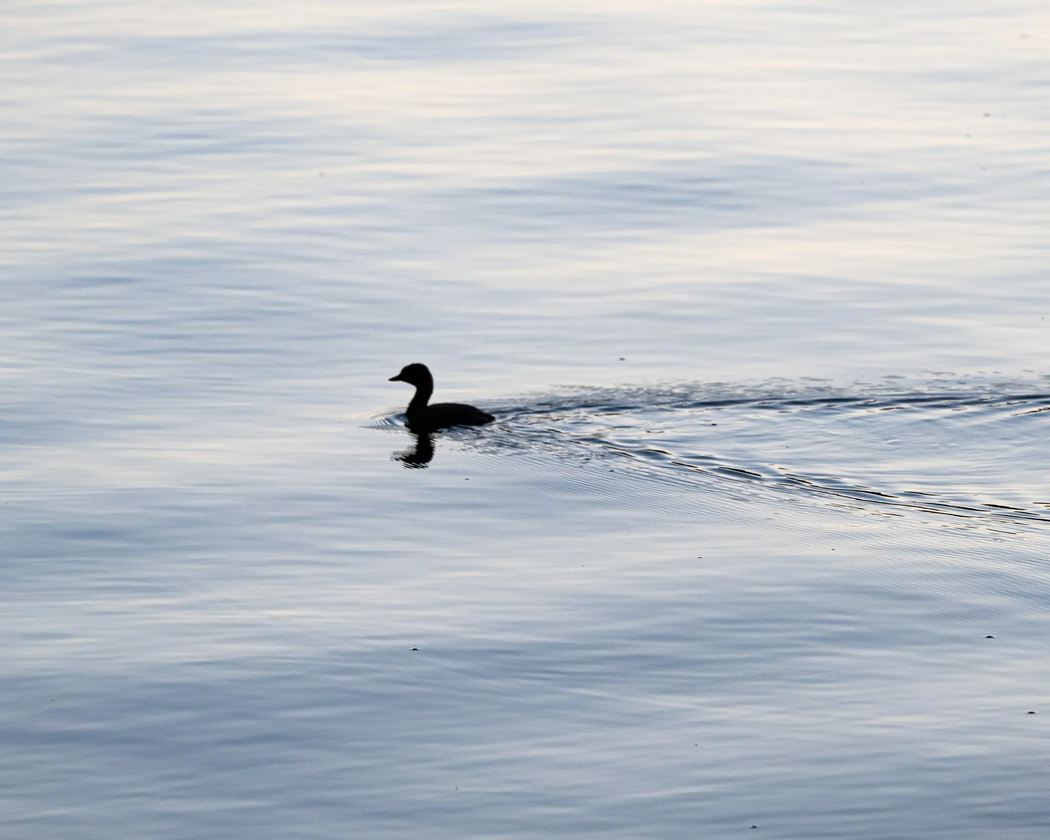An image from the album: [Hangzhou]