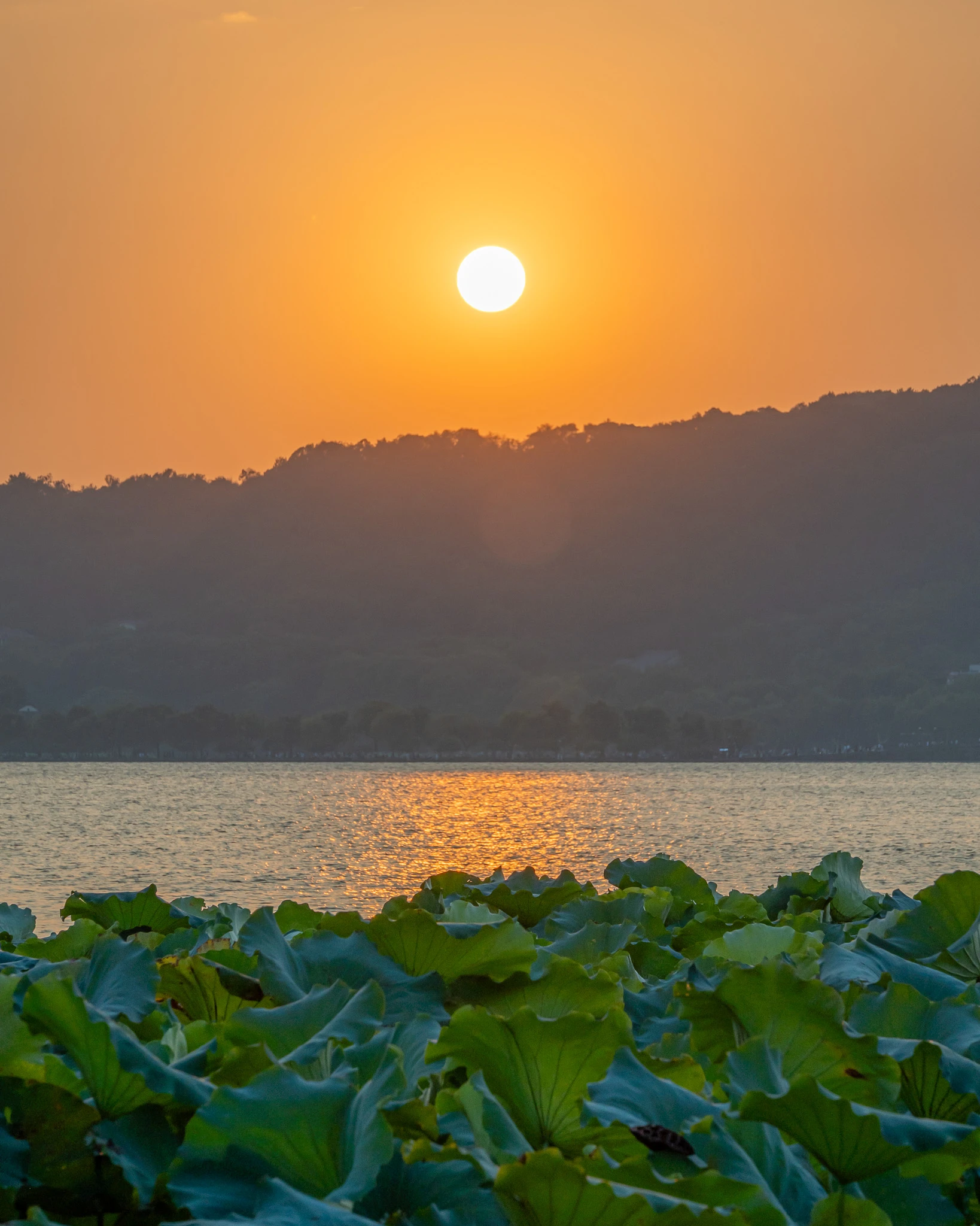 An image from the album: [Hangzhou]